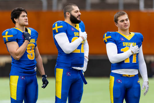 Alexander Kennedy Chaanhing, Malcolm Engström and Caesar