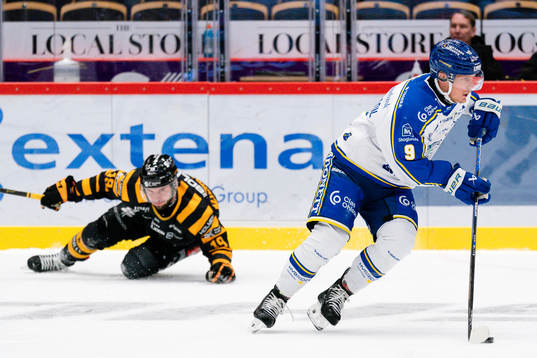 Skellefteås Martins Dzierkals och Leksands Patrik