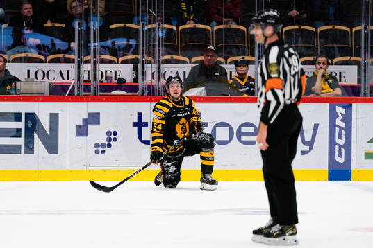 Skellefteås Jonathan Pudas deppar