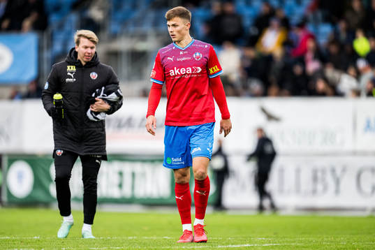 Helsingborgs Erik Ring