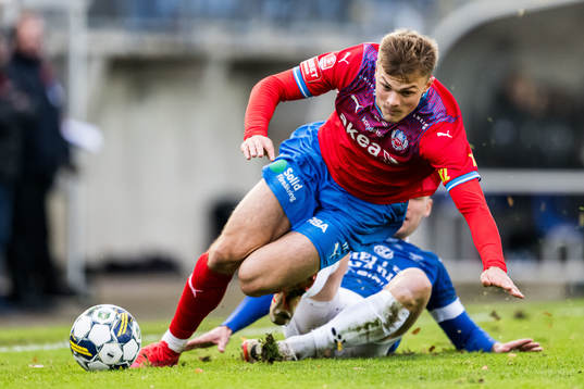 Helsingborgs Erik Ring