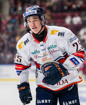 Växjö Lakers HCs Filip Eriksson