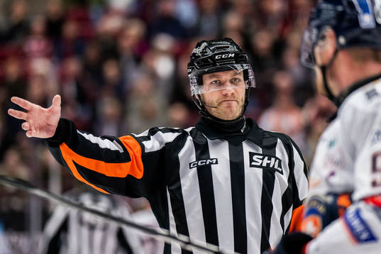 Domare Daniel Eriksson