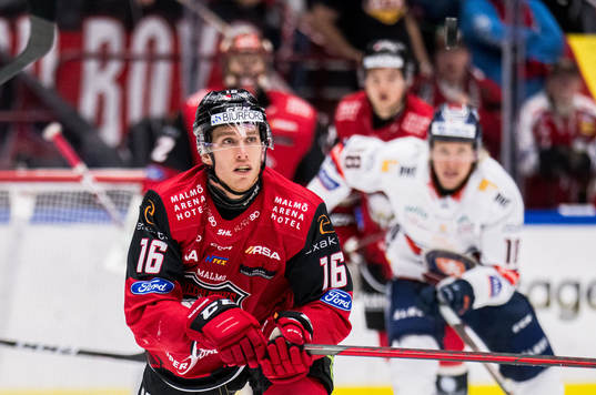 IF Malmö Redhawks Matias Lassen