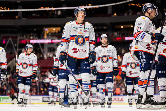 Växjö Lakers HCs Gabriel Carlsson deppar
