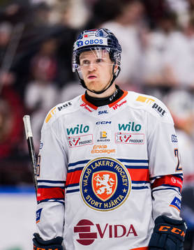 Växjö Lakers HCs Hugo Gustafsson deppar