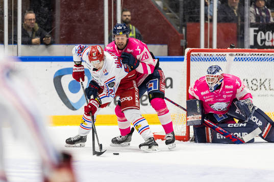 Timrås Filip Hållander