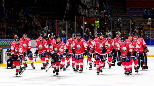 Linköping spelare jublar