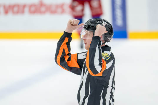 Domare Mikael Holm