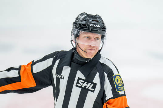 Domare Mikael Holm
