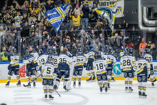HV71s spelare jublar