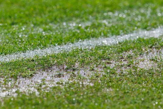 Regn på gräset