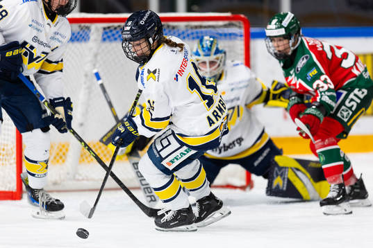 HV71s Kajsa Armborg