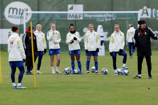 Players of the Swedish women's national football team