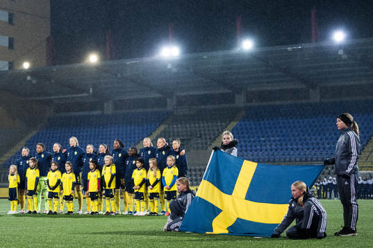 Players of Sweden