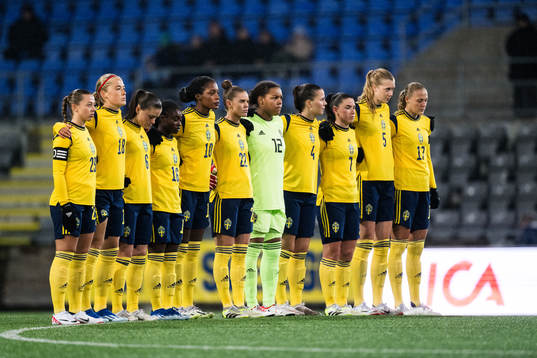 Players of Sweden