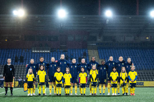 Players of Sweden