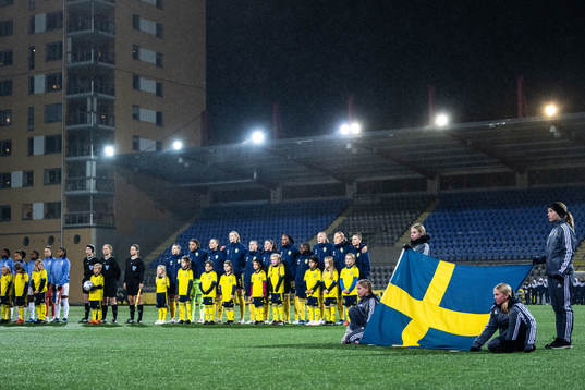Players of Sweden