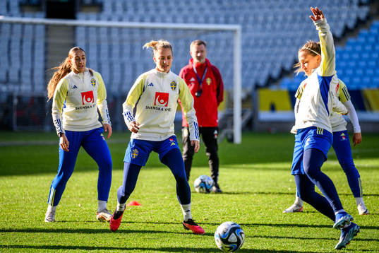 Nathalie Björn of the Swedish women's national football
