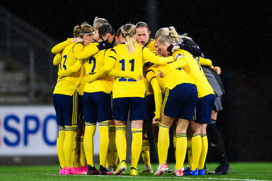 Players of Sweden gather