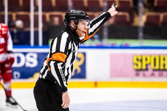 Domare Mikael Holm