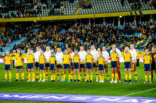 Players of Sweden line up