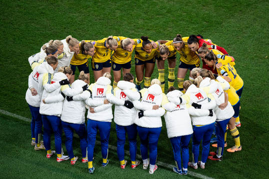 Players of Sweden