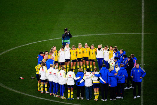Players and leaders of Sweden