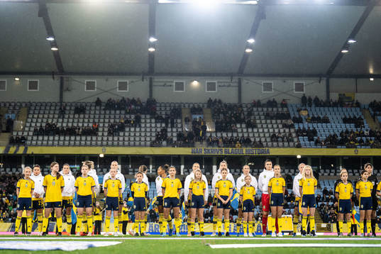 Players of Sweden