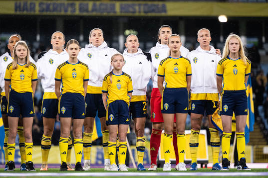 Players of Sweden