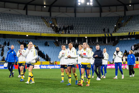 Players of Sweden