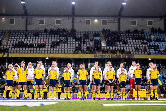 Players of Sweden with mascots