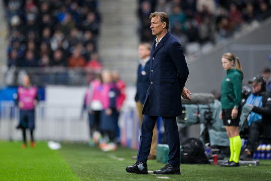 Head coach Hervé Renard of France