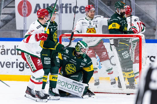 Björklövens målvakt Melker Thelin deppar