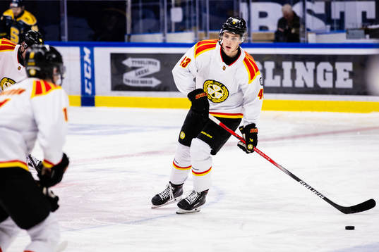 Brynäs Noel Nordh