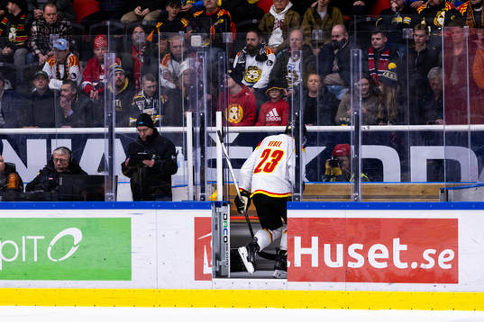 Brynäs Tyler Vesel