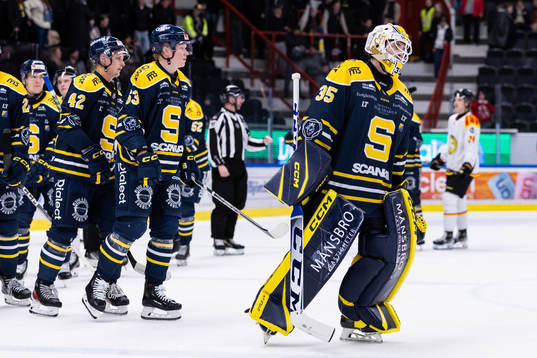 Södertäljes målvakt Tomas Sholl deppar