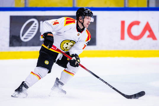 Brynäs Chad Billins