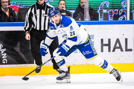 Leksands Justin Glenn Kloos