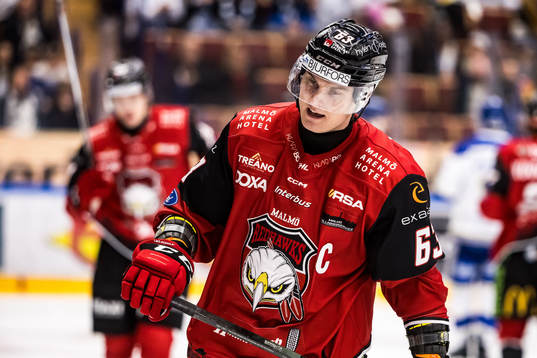 Malmö Redhawks Fredrik Händemark deppar