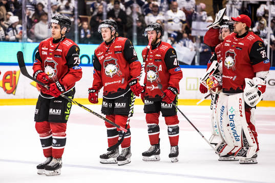 Malmö Redhawks spelarna deppar