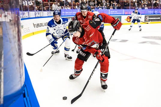 Malmö Redhawks Filip Sitar