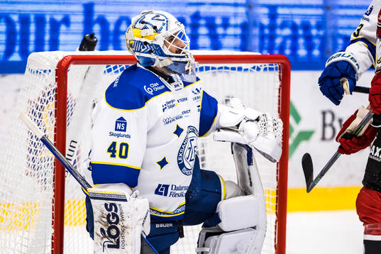 Leksands målvakt Mantas Armalis