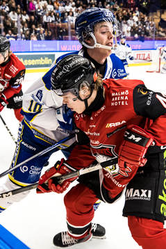 Leksands Anton Johansson och Malmö Redhawks Filip Sitar