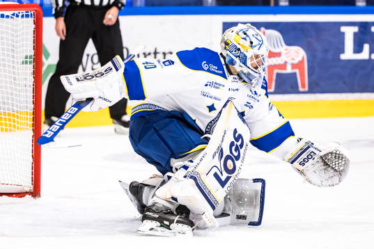 Leksands målvakt Mantas Armalis
