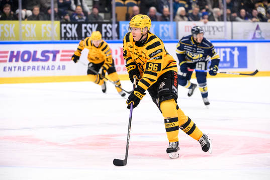 Skellefteås Rickard Hugg
