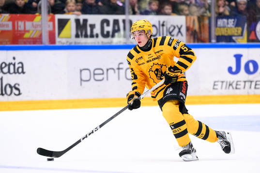 Skellefteås Axel Sandin Pellikka