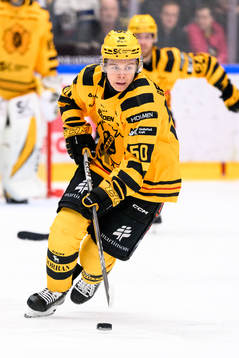 Skellefteås Rickard Hugg