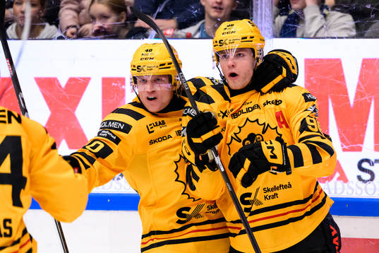 Skellefteås Rickard Hugg jublar