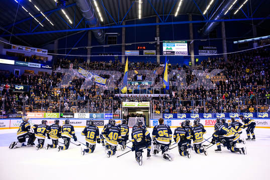 HV71s spelare tackar publiken